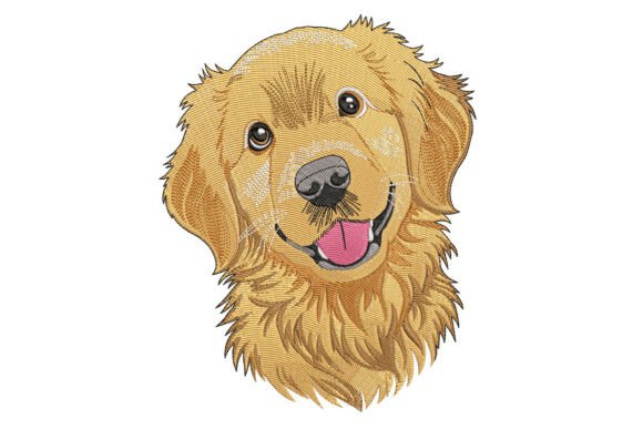 Download Golden Retriever Dog - Gold Collection